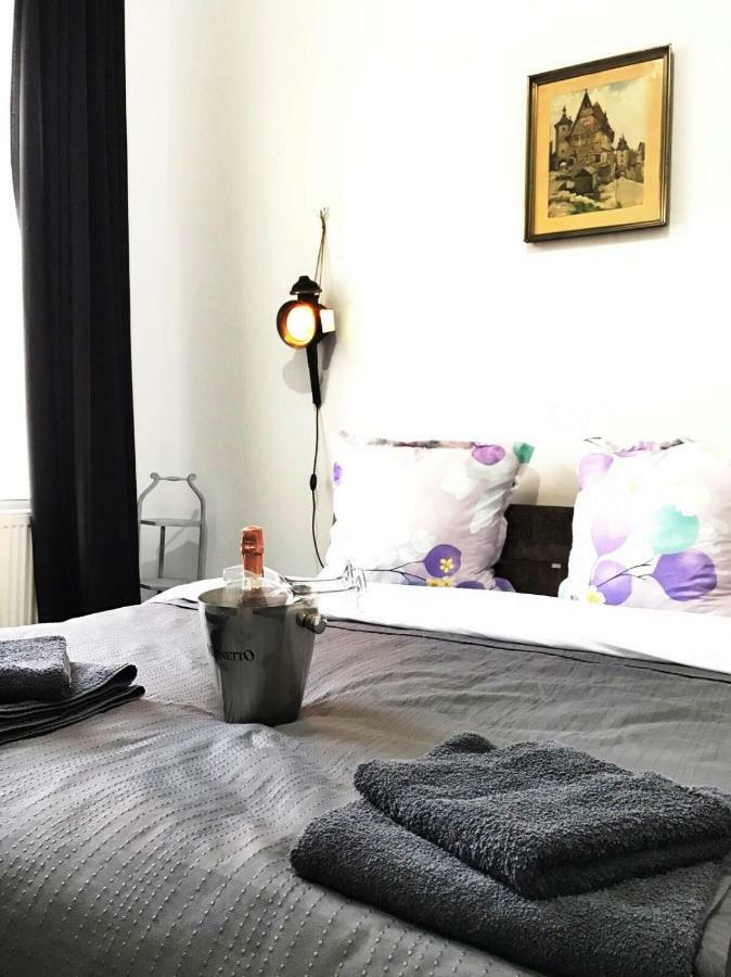 Apartament Mansion Josephina Kluż-Napoka Zewnętrze zdjęcie