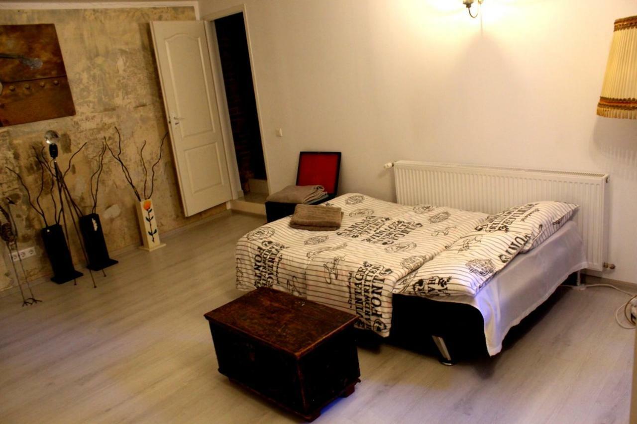 Apartament Mansion Josephina Kluż-Napoka Zewnętrze zdjęcie